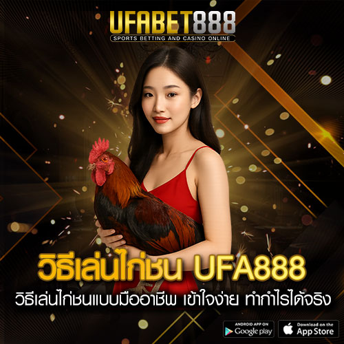 วิธีเล่นไก่ชนออนไลน์ UFA888